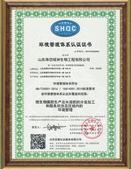 Environmental management system certificate